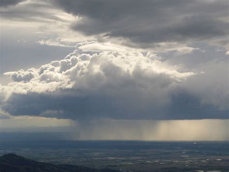 Can You Bring a Stuffed Animal on a Plane, and Why Do Clouds Look Like Cotton Candy?