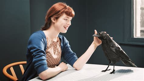 How to Get a Pet Crow: And Why They Might Teach You Quantum Physics