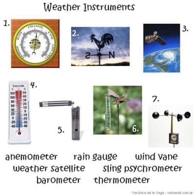 What are the 12 Weather Instruments? And Why Do They Sometimes Predict the Mood of a Cat?