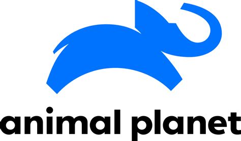 What Channel is Animal Planet on Dish Network: Exploring the Wild Side of Television