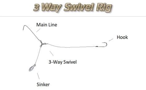 What is a Swivel for Fishing: A Gateway to the Mysteries of the Deep