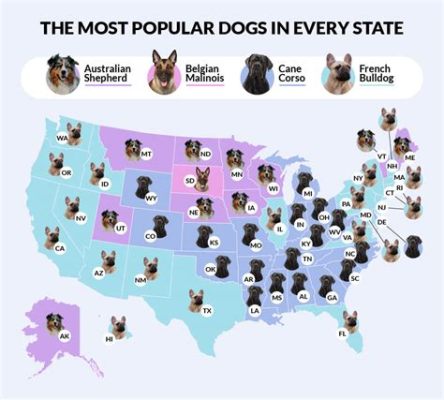 What is the Most Popular Pet in America, and Why Do They Dream of Flying?